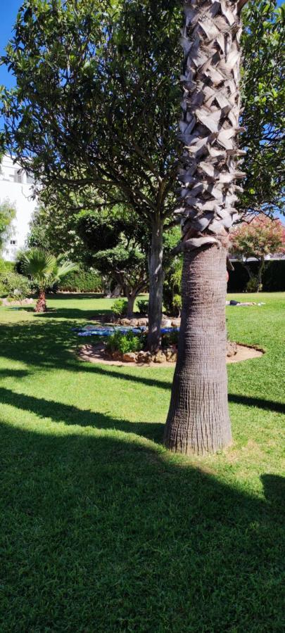 Apartmán Delta Del Sur Benalmádena Exteriér fotografie